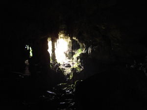 DAY 2: Niah Cave advantures