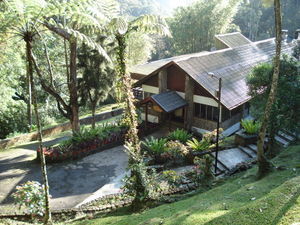 DAY 2: Kinabalu Park Adventures