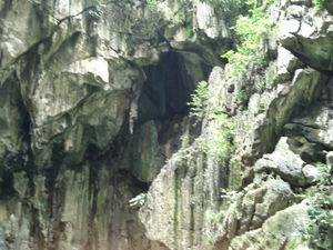 DAY 3 : Madai Cave, Semporna
