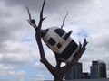 Just Another Cow Stuck In A Tree?