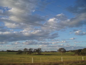 Ozzie Country Landscape - New South Wales, Australia