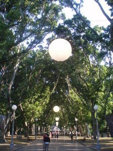 Hyde Park - Sydney