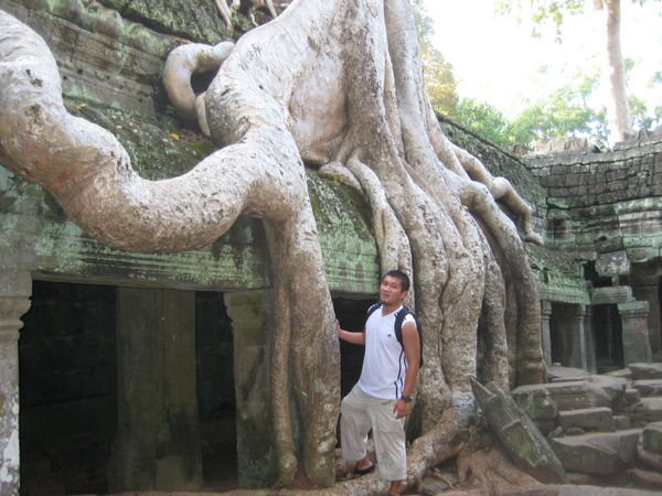 Trung By Grappling Tree