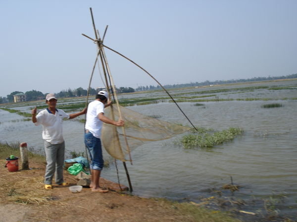 Fishermen Haul The Nets From Flooded Padi Fields