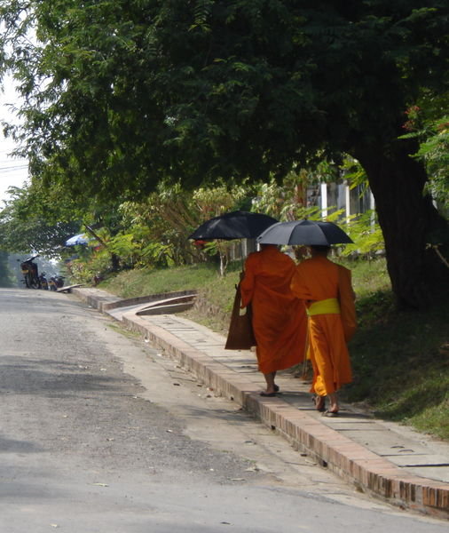 Monks Our For An Afternoon Stroll