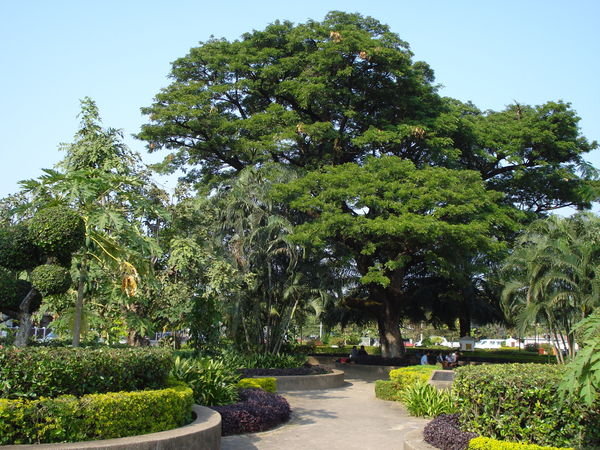 Sculpted Gardens in Vientiane