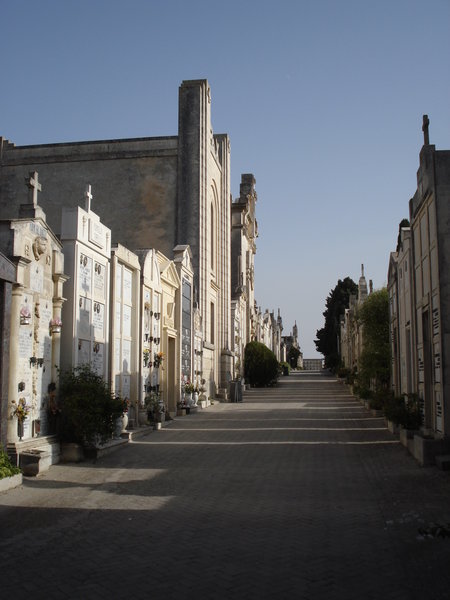 An avenue of tombs