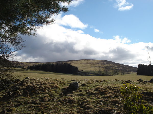 Perthshire Countryside