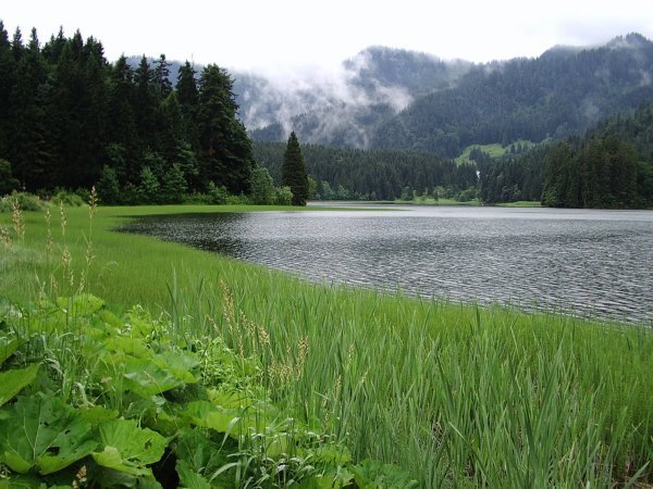 Gorgeous Lake in Austria
