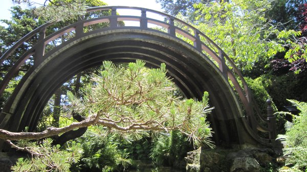 Bridge Over the Japanese Tea Garden