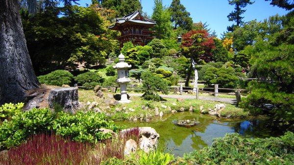 Stunning Japanese Tea Garden's @ The Golden Gate Park