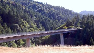 Bridge Towards the Pacific Coast