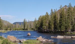 Snake River Tributary at Yellowstone