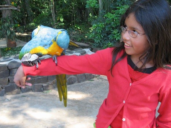 Cristina kunne overtales til at posere med papegøje 