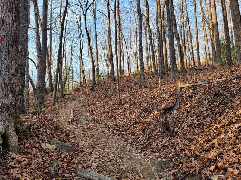 Such Gorgeous Trails even in winter