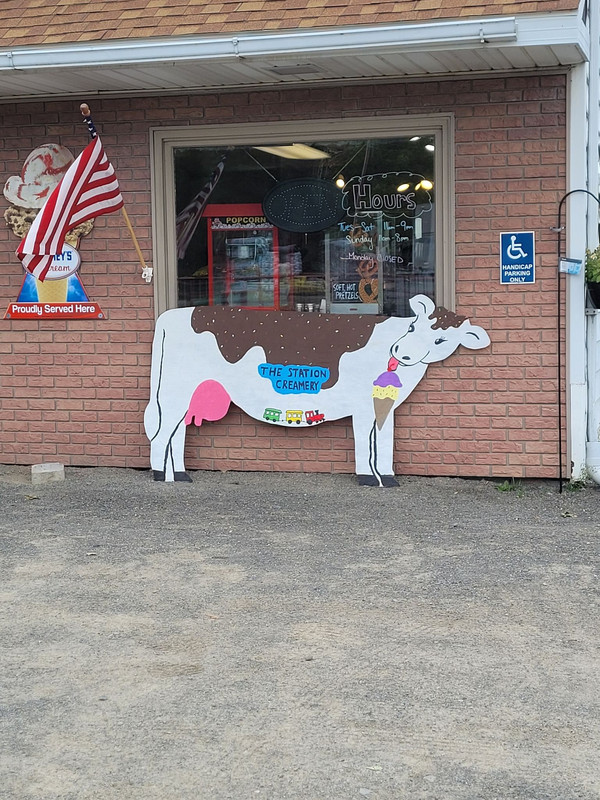 Example of the cows in front of businesses