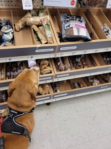 These bones smell so good!