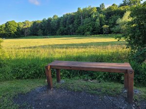Excercise bench with missing sign and horse pasture