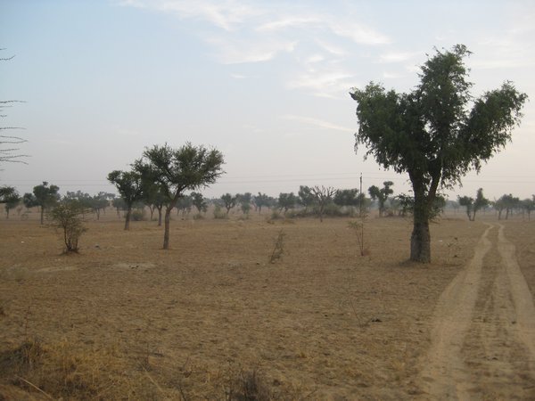 Countryside around Mandawa