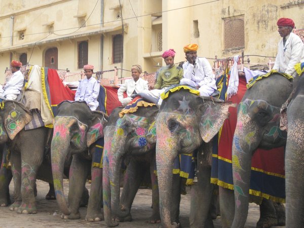 The elephants waiting to pick up passengers!