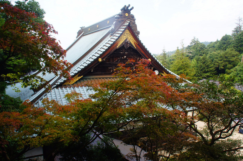 Main Pavilion At Daisho-in
