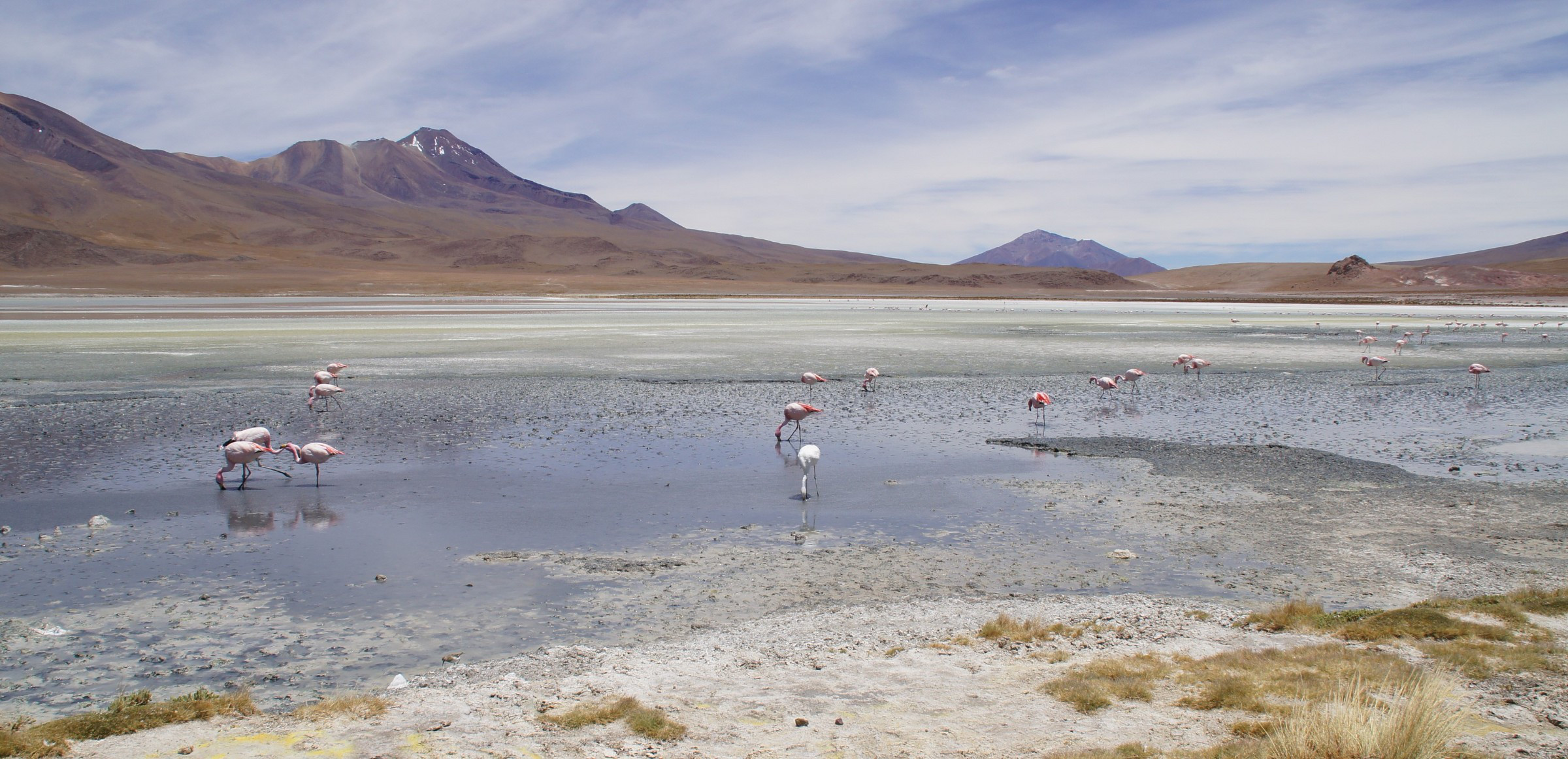 Eduardo Avaroa National Reserve of Andean Fauna, Bolivia | Photo