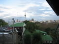View Of Auckland City From My Flat