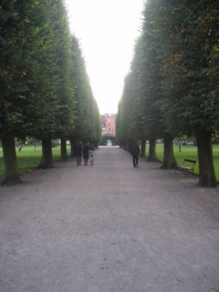 The King's Gardens