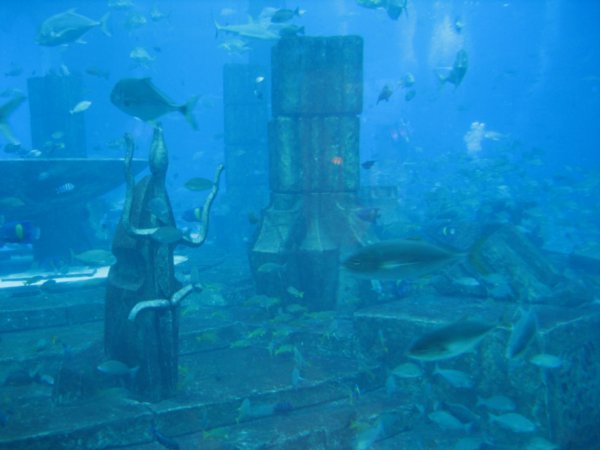 Atlantis Hotel Aquarium