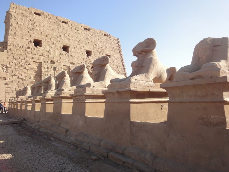 Row Of Sphinxes