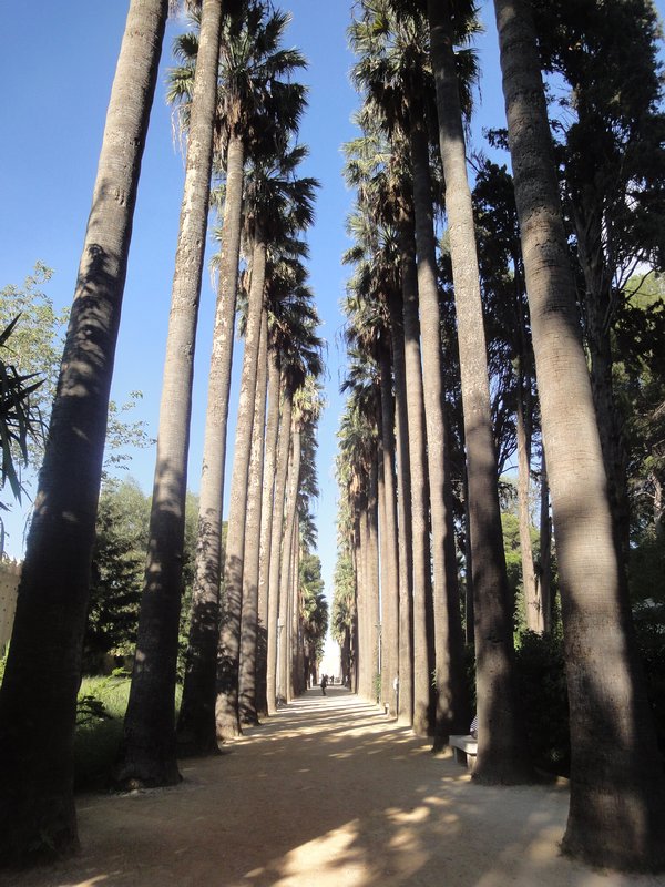 Bou Jeloud Gardens