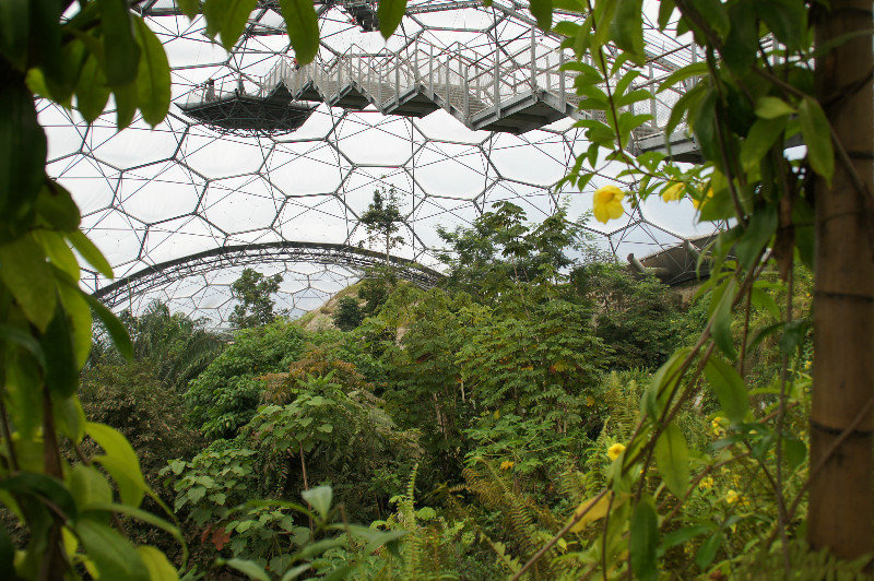 Above The Canopy, Eden Project