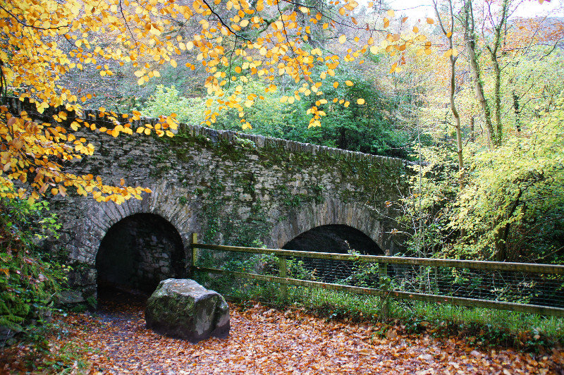 Bridge Near Killarney