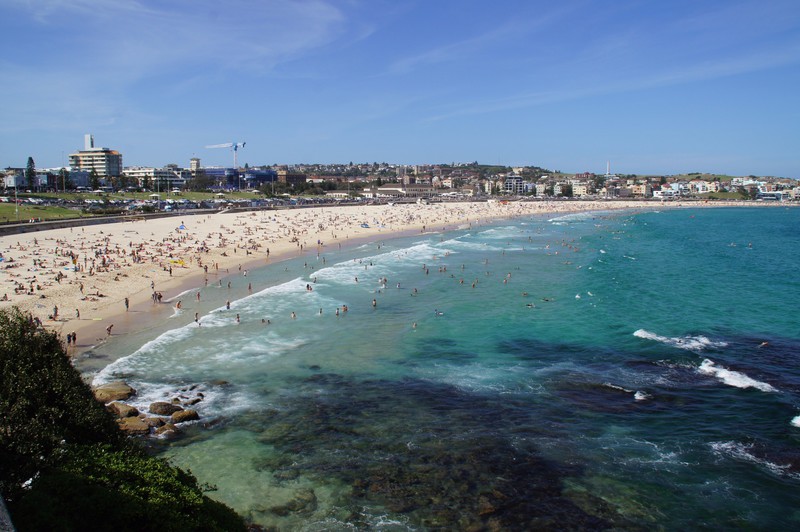 Bondi Beach