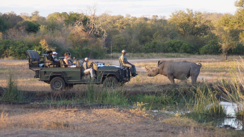Vehicle & Rhino