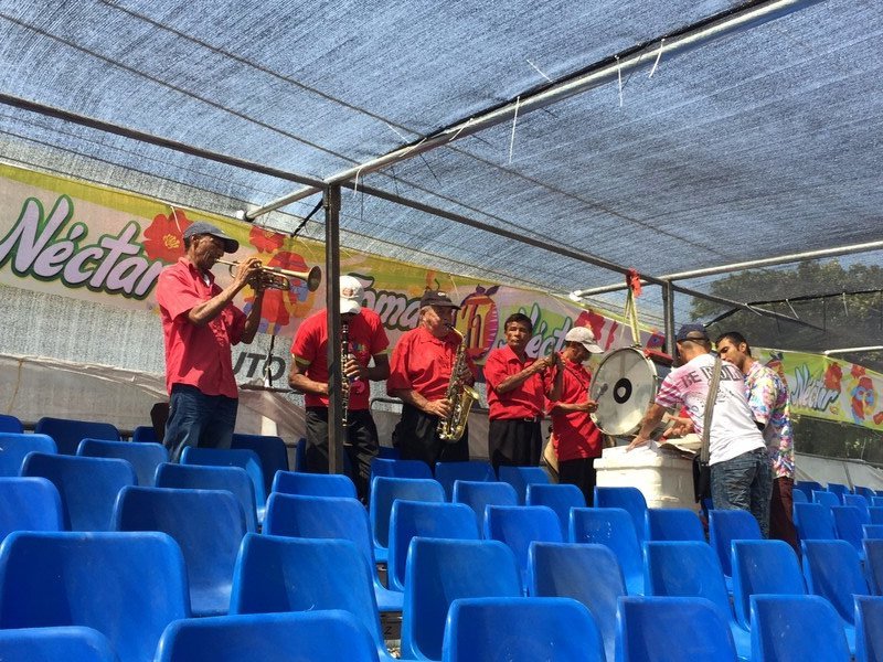 Palco Band