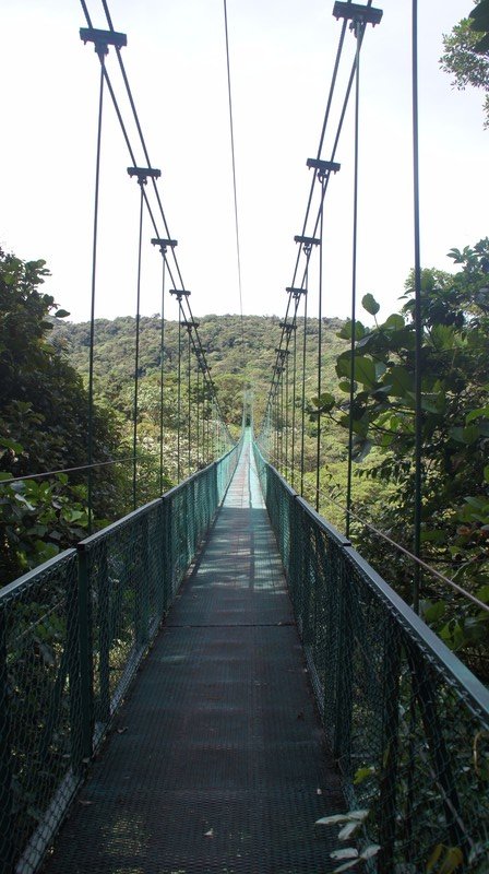 Hanging Bridge, Monteverde