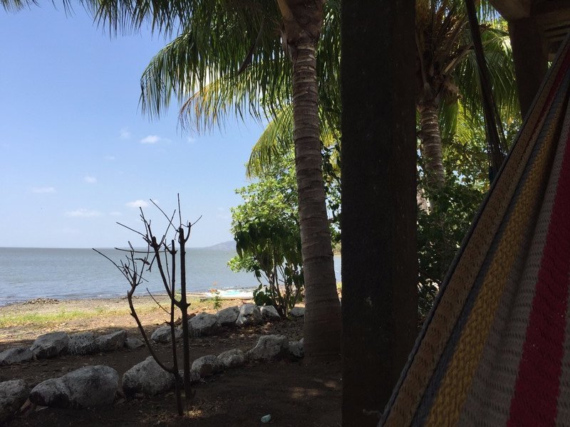 View From My Hammock