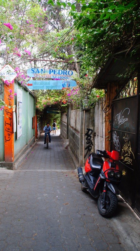 Alleys Of San Pedro