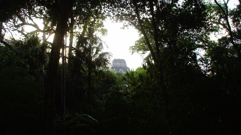 Temple IV, Tikal
