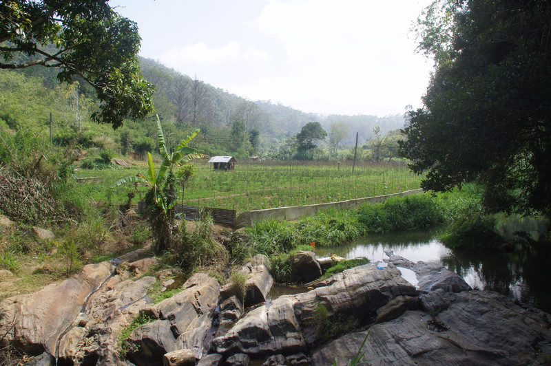 Sri Lankan Farm & Countryside