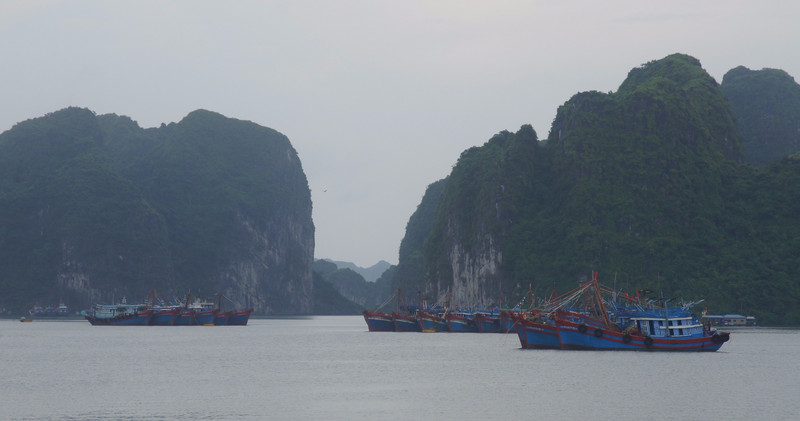 Fishing Boats In Lan Ha Bay