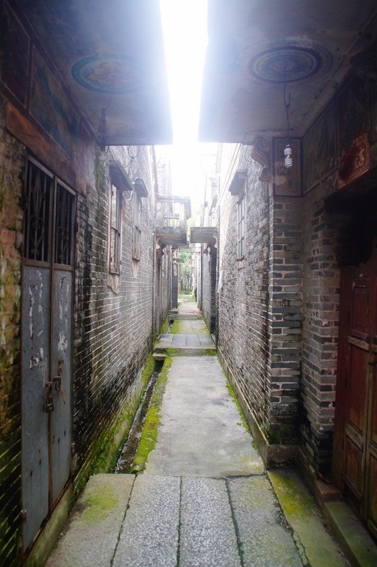 Ancestral Alley
