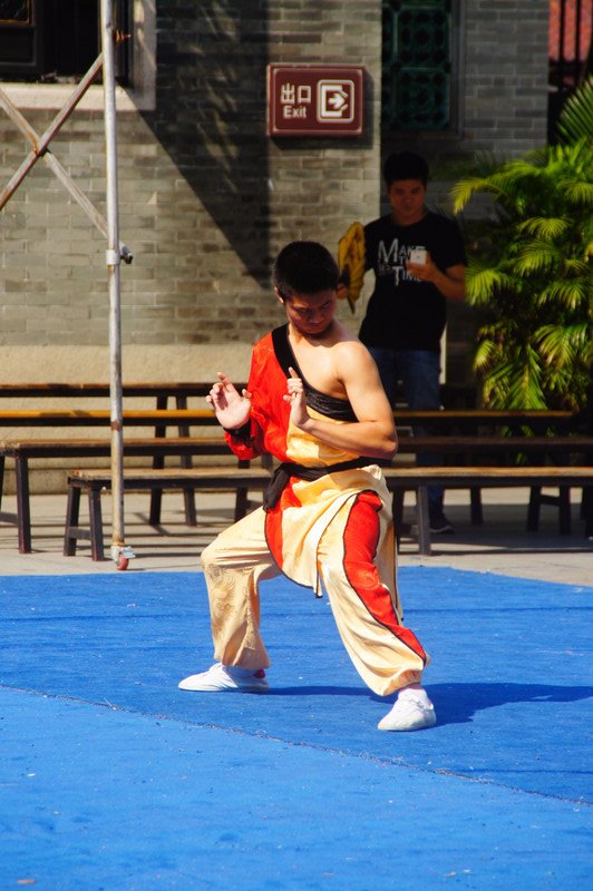 Kung Fu Artist