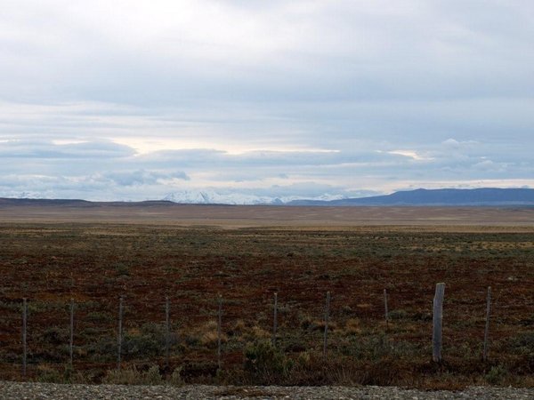 Pampa's richting Punta Arenas