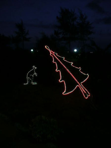 Christmas lights - the Christmas tree and the christmas.....kangaroo?