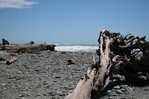 The Tree Graveyard pebbly beach