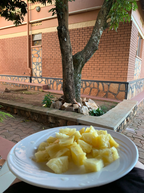 Fresh pineapple under the mango tree at Hope’s