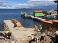 Sun island Lake Titicaca 