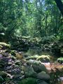 Amboro National Park - trek to Mararacu Waterfalls